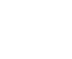 The Garden 